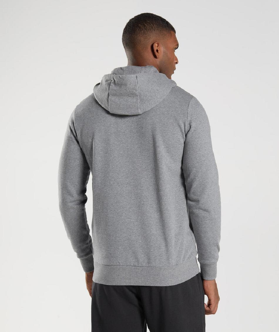 Gymshark Sharkhead Infill Muške Majica S Kapuljačom Sive | HR 2731RVD